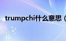 trumpchi什么意思（trumpchi什么意思）