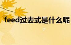 feed过去式是什么呢（feed过去式是什么）