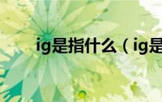 ig是指什么（ig是什么 ig专业解释）