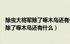 除虫大将军除了啄木鸟还有什么是除虫大将军（除虫大将军除了啄木鸟还有什么）