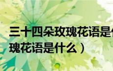 三十四朵玫瑰花语是代表什么（二十四朵的玫瑰花语是什么）