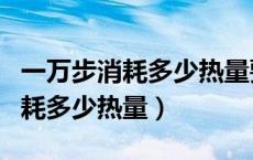 一万步消耗多少热量要吃多少食物（一万步消耗多少热量）