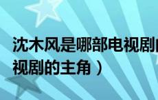 沈木风是哪部电视剧的高手（沈木风是哪部电视剧的主角）