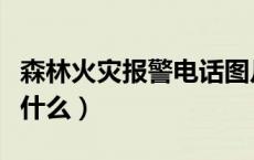 森林火灾报警电话图片（森林火灾报警电话是什么）