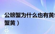 公螃蟹为什么也有黄色的（公螃蟹为什么也有蟹黄）