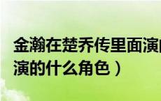 金瀚在楚乔传里面演的是谁（金瀚在楚乔传中演的什么角色）