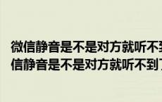 微信静音是不是对方就听不到了 放电视剧对方能听到吗（微信静音是不是对方就听不到了）