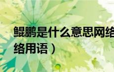 鲲鹏是什么意思网络用语（kp是什么意思网络用语）