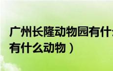 广州长隆动物园有什么表演（广州长隆动物园有什么动物）