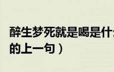 醉生梦死就是喝是什么歌名（醉生梦死就是喝的上一句）