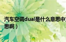 汽车空调dual是什么意思中文翻译（汽车空调dual是什么意思啊）