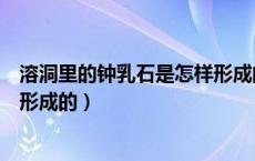 溶洞里的钟乳石是怎样形成的视频（溶洞里的钟乳石是怎样形成的）