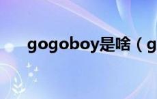 gogoboy是啥（gogoboy是啥意思）