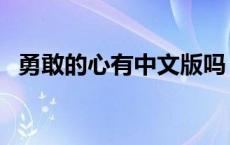 勇敢的心有中文版吗（勇敢的心有小说吗）