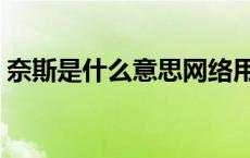 奈斯是什么意思网络用语（奈斯是什么意思）