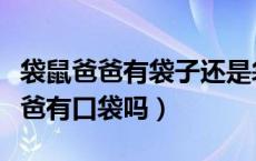 袋鼠爸爸有袋子还是袋鼠妈妈有袋子（袋鼠爸爸有口袋吗）