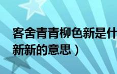 客舍青青柳色新是什么意思?（客舍青青柳色新新的意思）