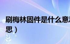 刷梅林固件是什么意思（刷梅林固件是什么意思）