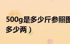 500g是多少斤参照图重量表（500g是多少斤多少两）