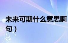 未来可期什么意思啊（未来可期什么意思下一句）