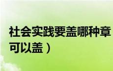 社会实践要盖哪种章（社会实践的章一般哪里可以盖）