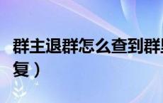 群主退群怎么查到群里文件（群主退群怎么恢复）