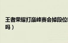 王者荣耀打巅峰赛会掉段位吗（王者荣耀打巅峰赛会掉战力吗）