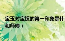 宝玉对宝钗的第一印象是什么（宝玉为什么称宝钗为一字师和师傅）