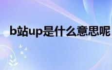 b站up是什么意思呢（b站up是什么意思）