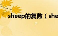 sheep的复数（sheep复数行为是什么）