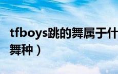 tfboys跳的舞属于什么舞（tfboy跳的是什么舞种）