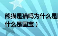 熊猫是猫吗为什么是国宝作文（熊猫是猫吗为什么是国宝）