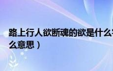 路上行人欲断魂的欲是什么字词（路上行人欲断魂的欲是什么意思）