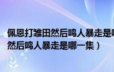 佩恩打雏田然后鸣人暴走是哪一集1003无标题（佩恩打雏田然后鸣人暴走是哪一集）