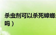 杀虫剂可以杀死蟑螂么（杀虫剂可以杀死蟑螂吗）