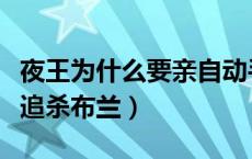 夜王为什么要亲自动手杀布兰（夜王为什么要追杀布兰）