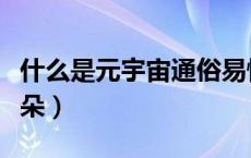 什么是元宇宙通俗易懂的解释（什么是元宝耳朵）