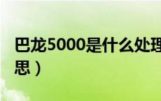 巴龙5000是什么处理器（巴龙5000是什么意思）