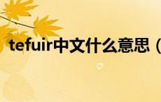 tefuir中文什么意思（tefuir中文什么意思）