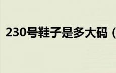 230号鞋子是多大码（尺码230是几号鞋啊）