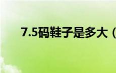 7.5码鞋子是多大（7.5码鞋子是多大）