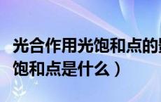 光合作用光饱和点的影响因素（光合作用的光饱和点是什么）