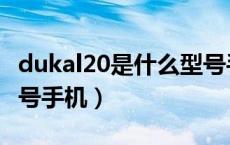 dukal20是什么型号手机（dukal20是什么型号手机）