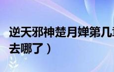 逆天邪神楚月婵第几章怀孕（逆天邪神楚月婵去哪了）