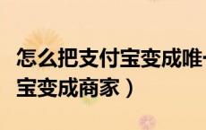 怎么把支付宝变成唯一收款账户（怎么把支付宝变成商家）