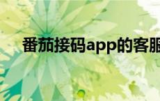 番茄接码app的客服（番茄接码怎么用）