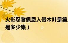 火影忍者佩恩入侵木叶是第几集的（火影忍者佩恩入侵木叶是多少集）