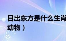 日出东方是什么生肖?（日出东方指什么生肖动物）