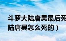 斗罗大陆唐昊最后死了没（唐昊结局 斗罗大陆唐昊怎么死的）