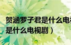 贺涵罗子君是什么电视剧第二部（贺涵罗子君是什么电视剧）